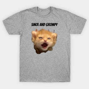 Smol Boi T-Shirt